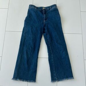 Anthropologie Pilcro size 27 women’s wide leg frayed hem jeans